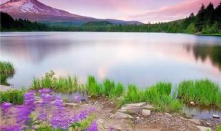 男人旺运的头像照片 男人旺运的头像照片