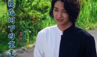 樱花树下的重逢 樱花树下的重逢